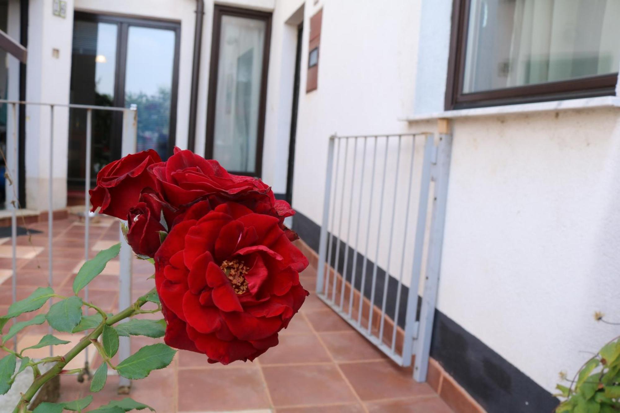 Buba Apartment Σαράγεβο Εξωτερικό φωτογραφία